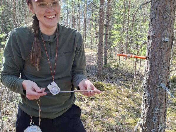 Biohiilen pitkäaikaisvaikutukset puuston kasvuun ja hiilen sidontaan